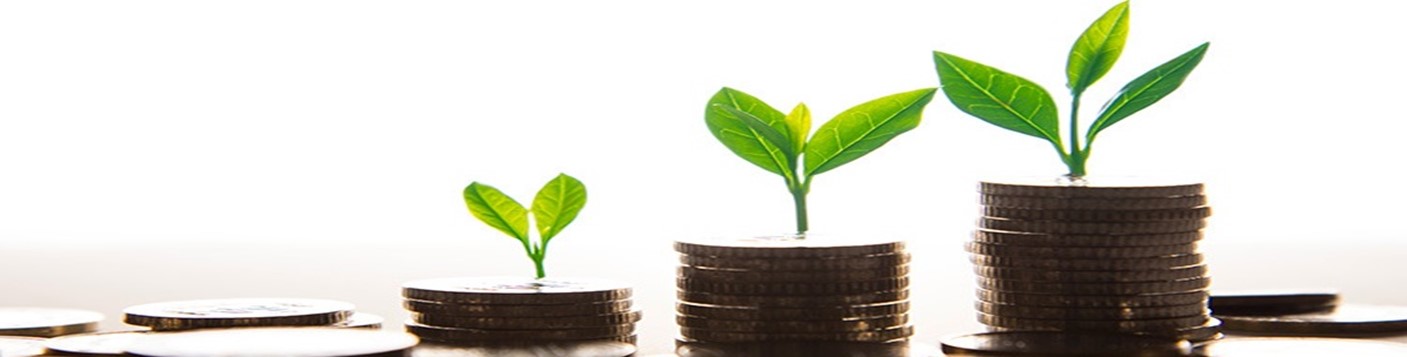 Wonderinterest | Investing in Green Bonds: What’s in it for the Investor?