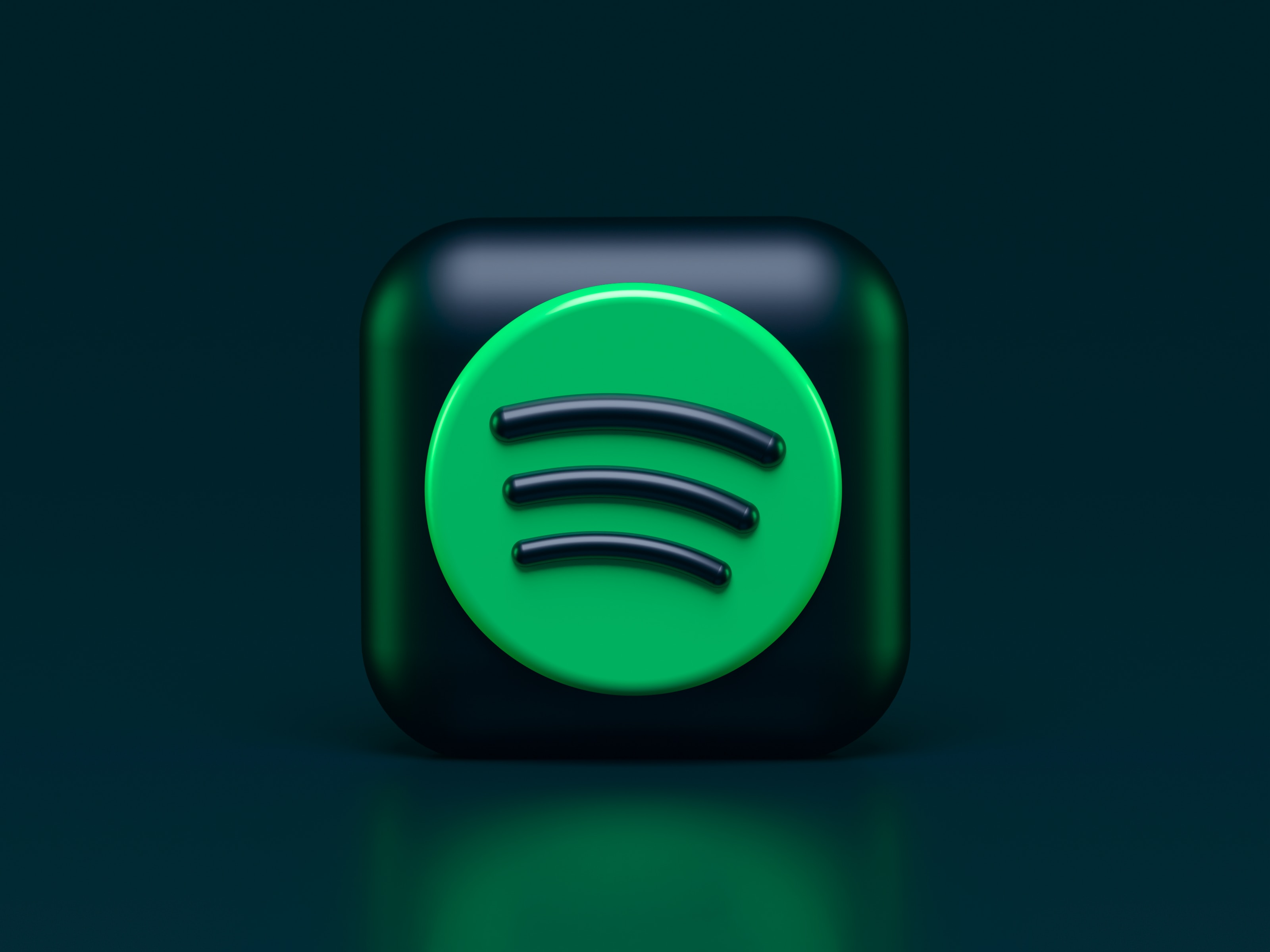 Wonderinterest | Spotify je na trdnih temeljih