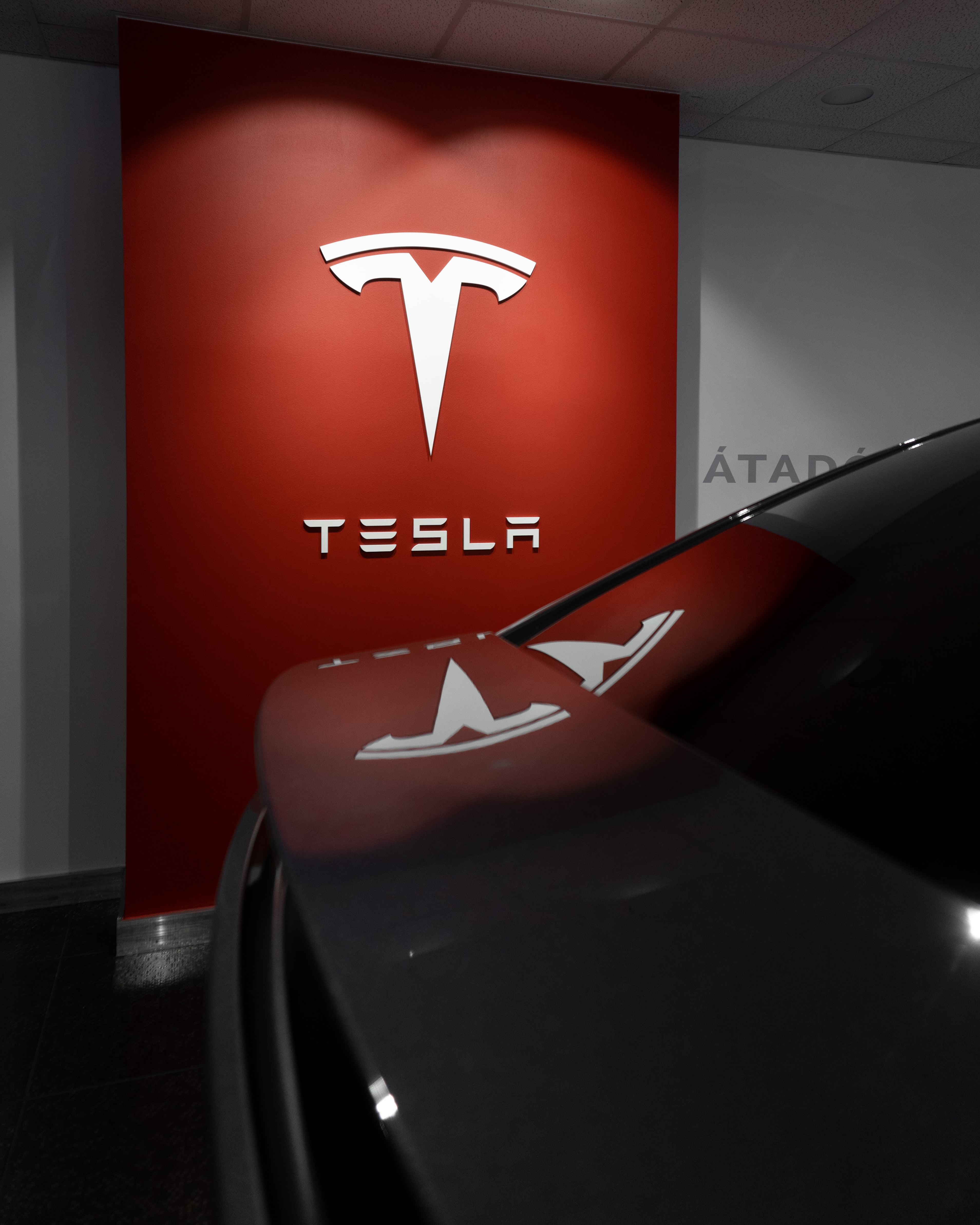 Wonderinterest | The Stumbling Stock of Tesla: Is It Rally Time?