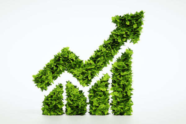 Wonderinterest | Obchodujte CFD Indexy