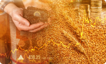 CFD Commodities 