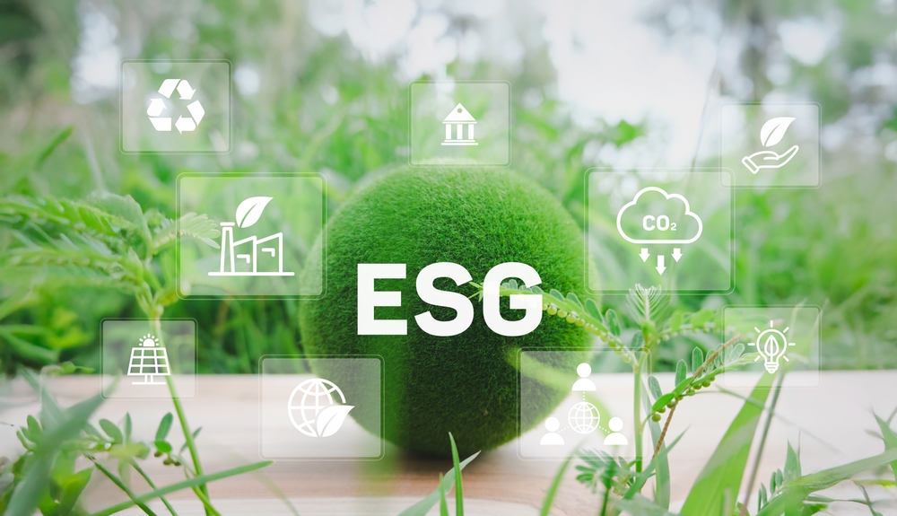 Wonderinterest | TOP 10 spoločností v oblasti udržateľnosti