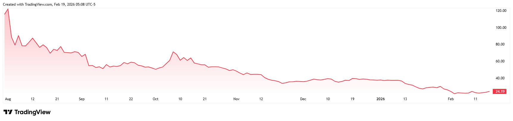 FIG_2026-02-19_11-08-11 FIG_2026-02-19_11-08-11