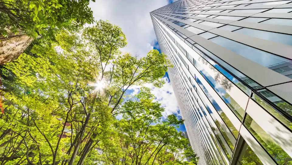 Wonderinterest | About Us